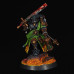 Salamanders primaris judiciar